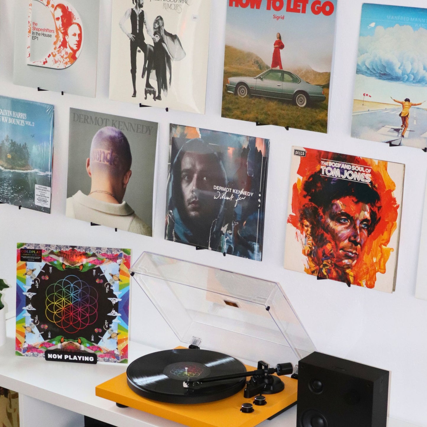 The Adhesive Record Holder (2-Pack)